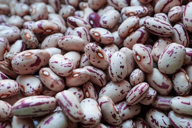 uncooked red beans mediterranean food