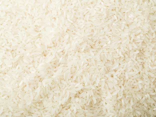 Uncooked white rice