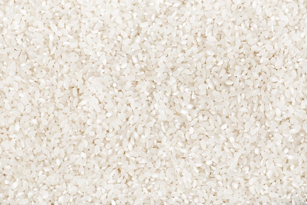 uncooked white round rice background Grains of rice top view