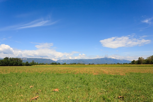 山を背景にした未開拓の畑。イタリアの農業。田園風景