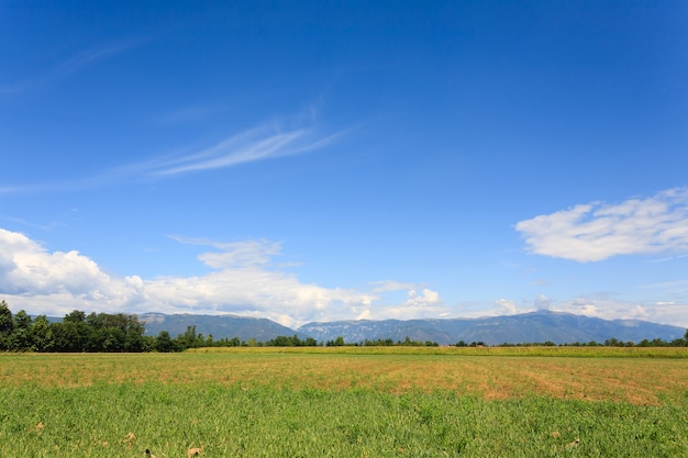 Uncultivated field with mountains in background Italian agriculture