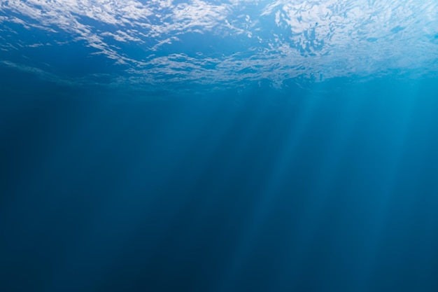 수중 배경 디자인을 위한 추상 수중 배경 파란색 깊은 수중 배경 복사 공간이 있는 고요한 수중 장면