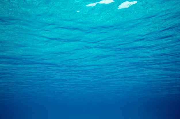 Underwater blue ocean background in sea