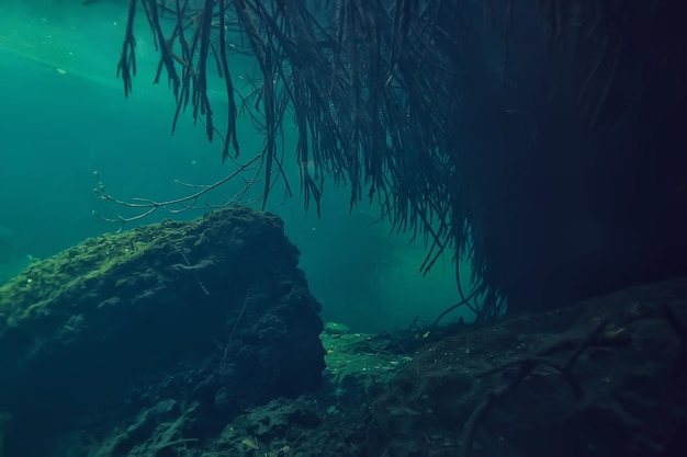 подводный пещерный сталактитовый пейзаж, пещерный дайвинг, юкатан, мексика, вид в сеноте под водой