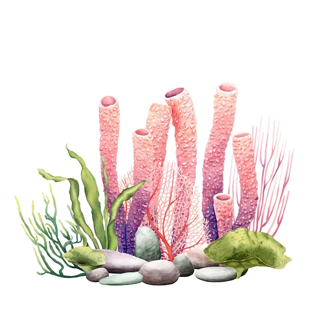 Underwater composition with coral reef plants and pebbles Watercolor illustration isolated on white for clip art cards