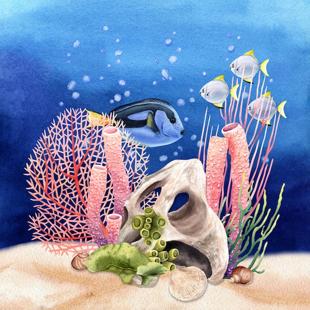 Underwater composition with corals exotic fishes and shells Watercolor illustration isolated on blue wash background