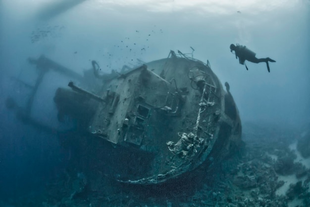 写真 難破船の水中探査