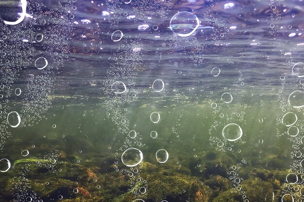 underwater fresh water green background with sun rays under, water