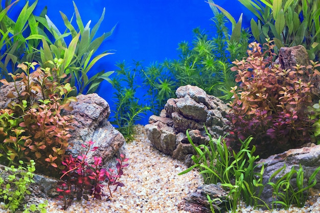 Underwater Landscape Decoration in Natural Mirror Cabinets.