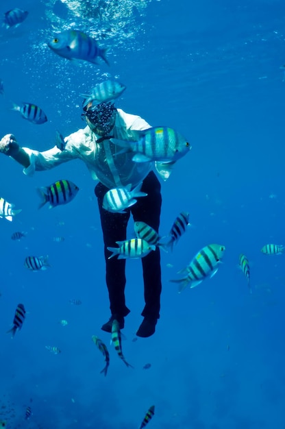 光沢のある魚に囲まれた、黒いズボンと白いシャツと蝶ネクタイを着た水中の男。水中バレエ。