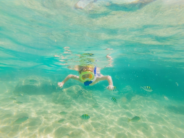 Underwater nature study boy snorkeling in clear blue sea