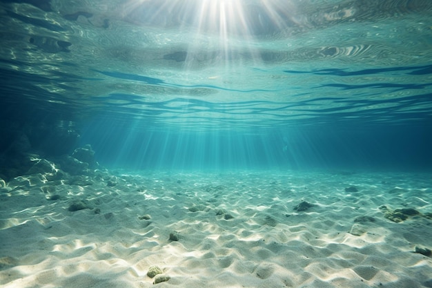 水中の海の砂底と太陽光線