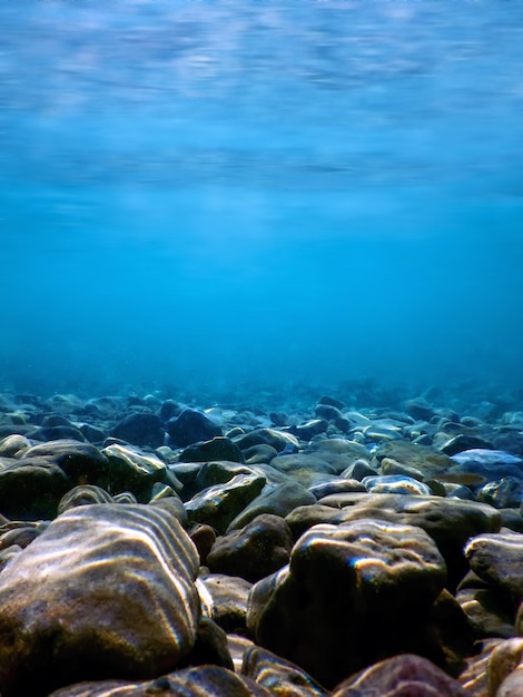 写真 水面下の水中の小石、岩と小石