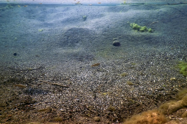 Underwater pebbles and gravel, rivers freshwater underwater, crystal clear water, pebbles on riverbed