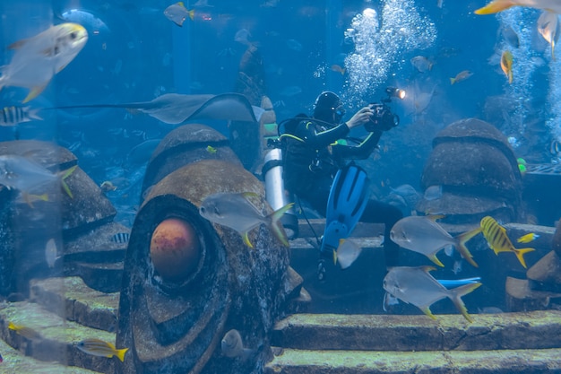 Underwater Photographers on Scuba dives. Divers with camera surrounded by a large number of fish in the huge aquarium. Atlantis, Sanya, Hainan, China.