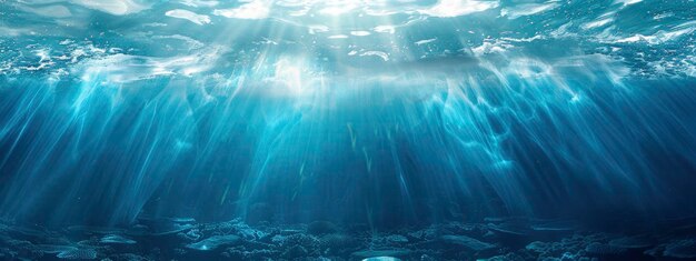 underwater picture of the oceans surface illuminated by sunlight forming an undersea landscape