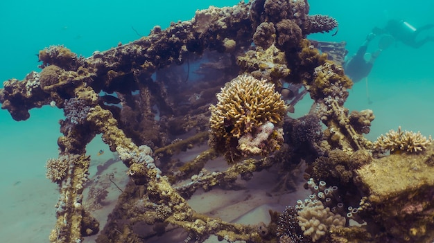 Подводное Красное море