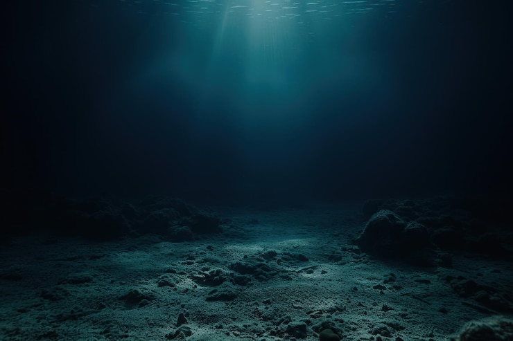 Photo the underwater remains outdoors nature ocean