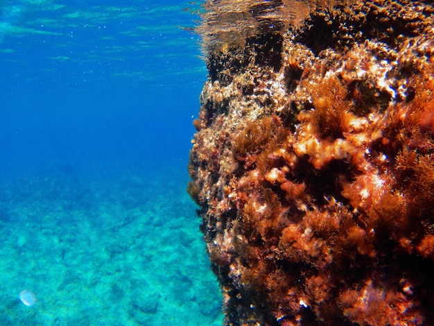 Foto sotto l'acqua a rodi, in grecia