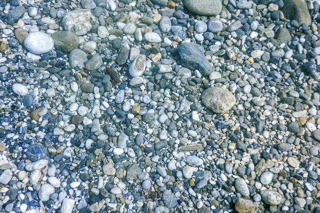 写真 海底の水中の岩と小石