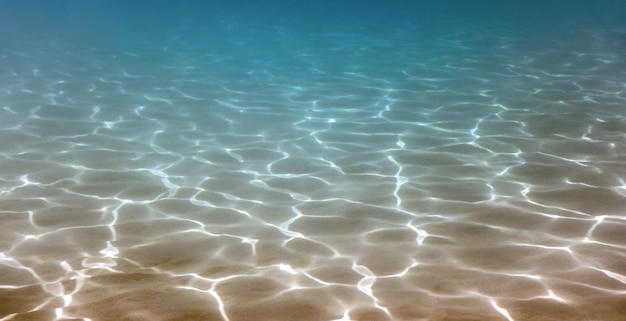 水中の砂底ワイド水中パノラマの背景