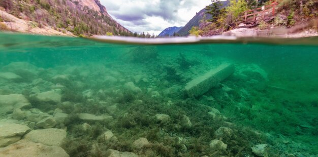 Photo underwater scene in a lake british columbia canada