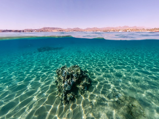 Underwater sea bottom view with half sky