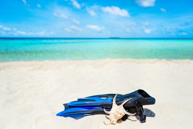 Underwater shells and flippers on the sand on the shore of the Indian Ocean