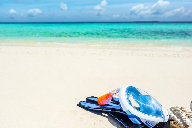 Underwater shells flippers and an underwater mask on the sand on the shores of the Indian Ocean