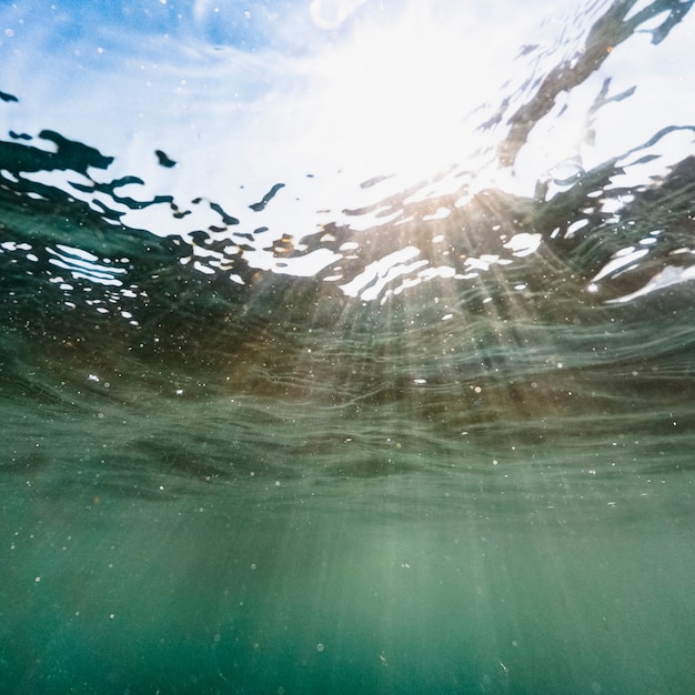 Underwater shot