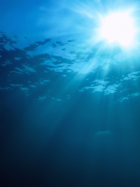 Underwater Sunlight Through Water Surface, Underwater Background