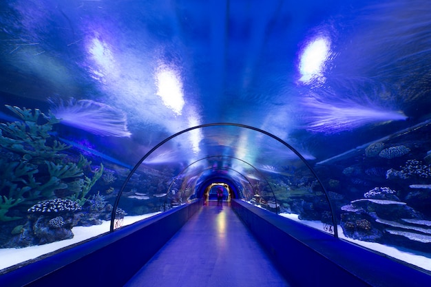 Underwater tunnel