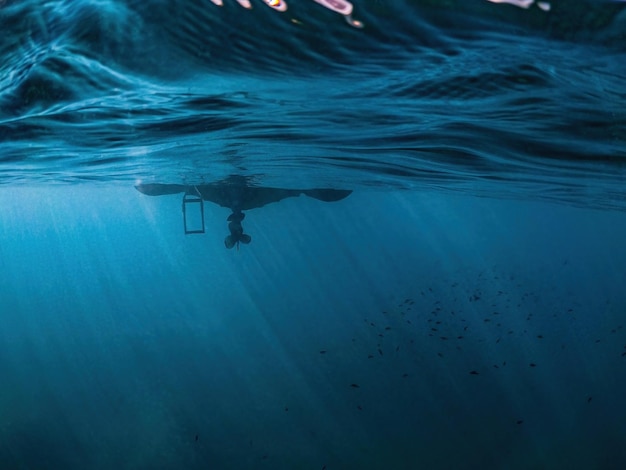 Underwater view of a boat bottom part and fishes swimming in clear blue water