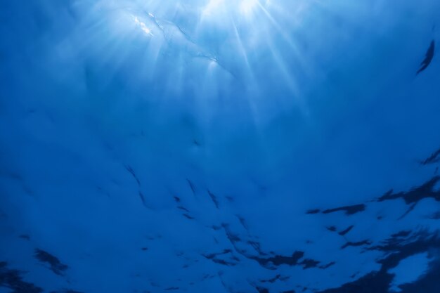 海面の水中ビュー、水中背景