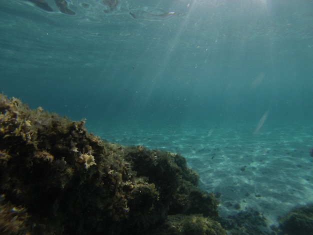 Underwater view of the transparent sea in southern Sardinia