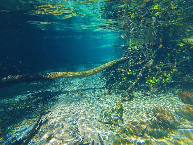 Photo underwater view