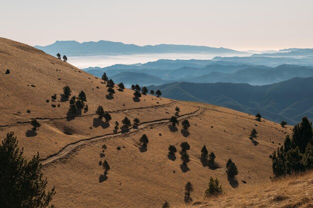 Undulating mountain terrain bathed in the warmth of the sun