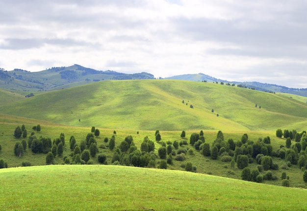 写真 山を背景に草や木が生い茂る起伏のある地形