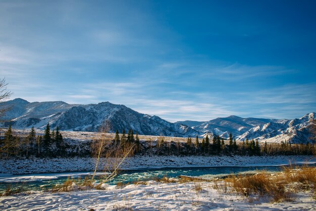 Unfrozen turquoise Katun river in Altai mountains on a frosty winter day. Incredible mountain valley landscape in sunlight.