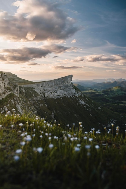 Foto picco ungino nella catena montuosa del gorobel al tramonto e fiori fuori fuoco in primo piano