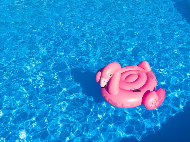 Unicorn flamingo float in blue water background, inflatable swim tube