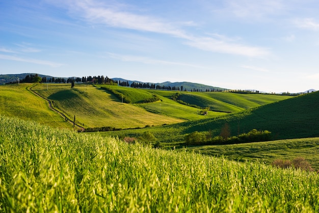 Uniek groen landschap en gecultiveerde heuvelrug in Toscane, Italië