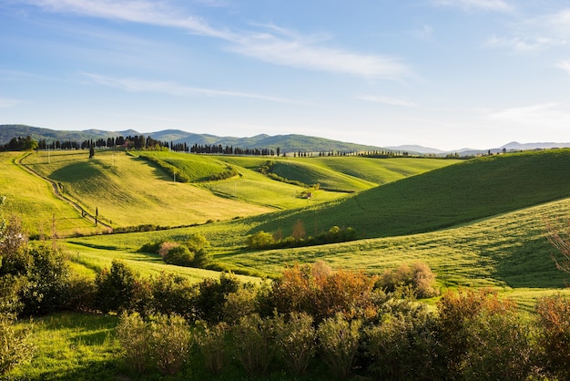 Uniek groen landschap en gecultiveerde heuvelrug in Toscane, Italië