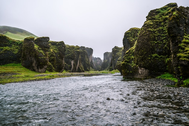 Uniek landschap van Fjadrargljufur in IJsland.