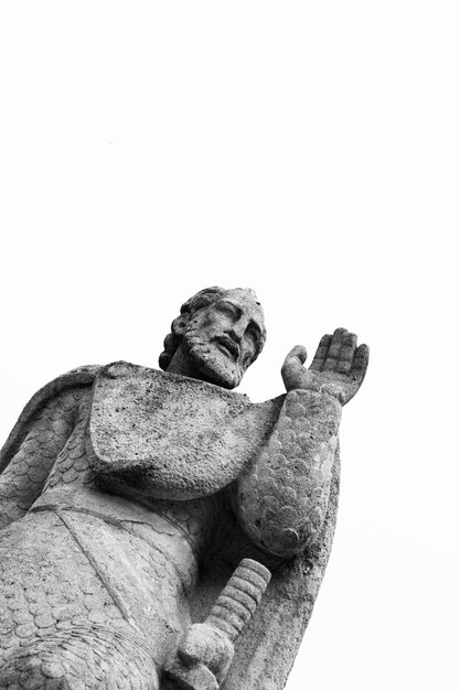 Photo uniformed warrior waving his arm