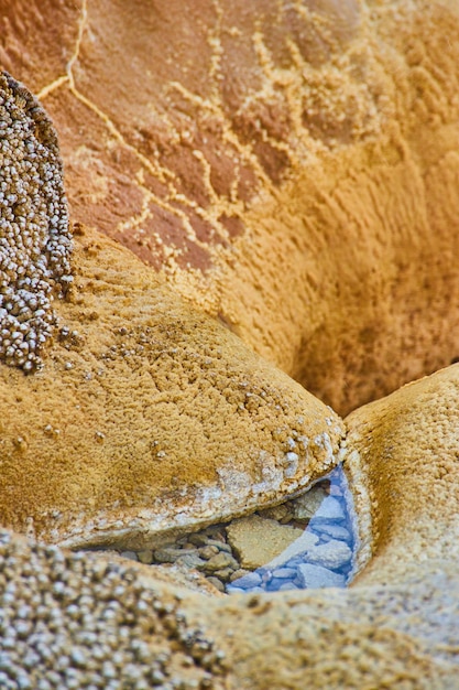 Formazioni alcaline e rocciose uniche nel geyser di yellowstone