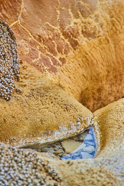 Foto formazioni alcaline e rocciose uniche nel geyser di yellowstone