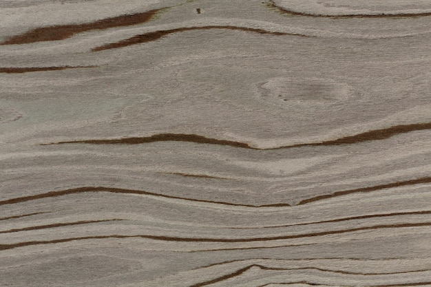 Unique gray wood design texture. Natural background closeup.  Extremely high resolution photo.