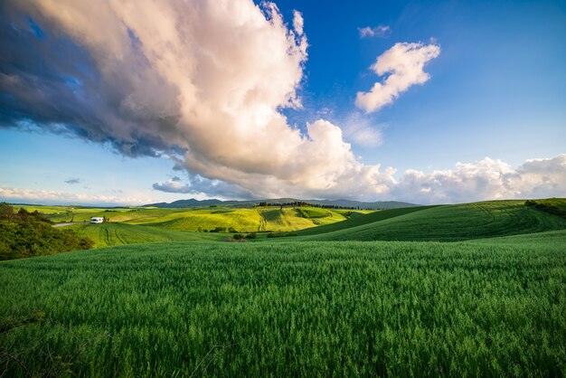 Фото Уникальный зеленый ландшафт и возделанные холмы в тоскане, италия
