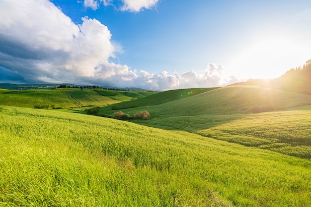 Unique green landscape and cultivated hill range in Tuscany, Italy